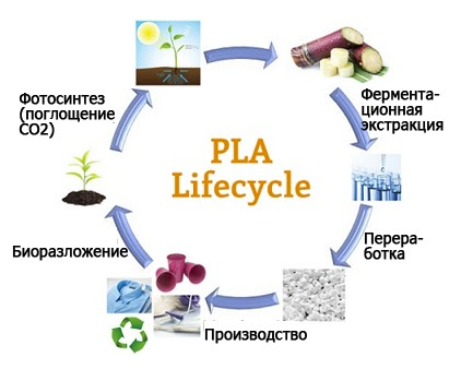 Схема жизни PLA